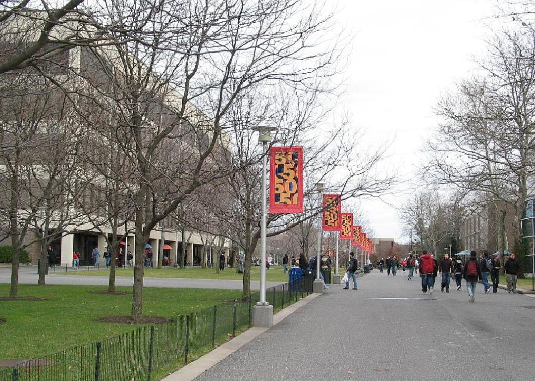 #50. Stony Brook University, SUNY