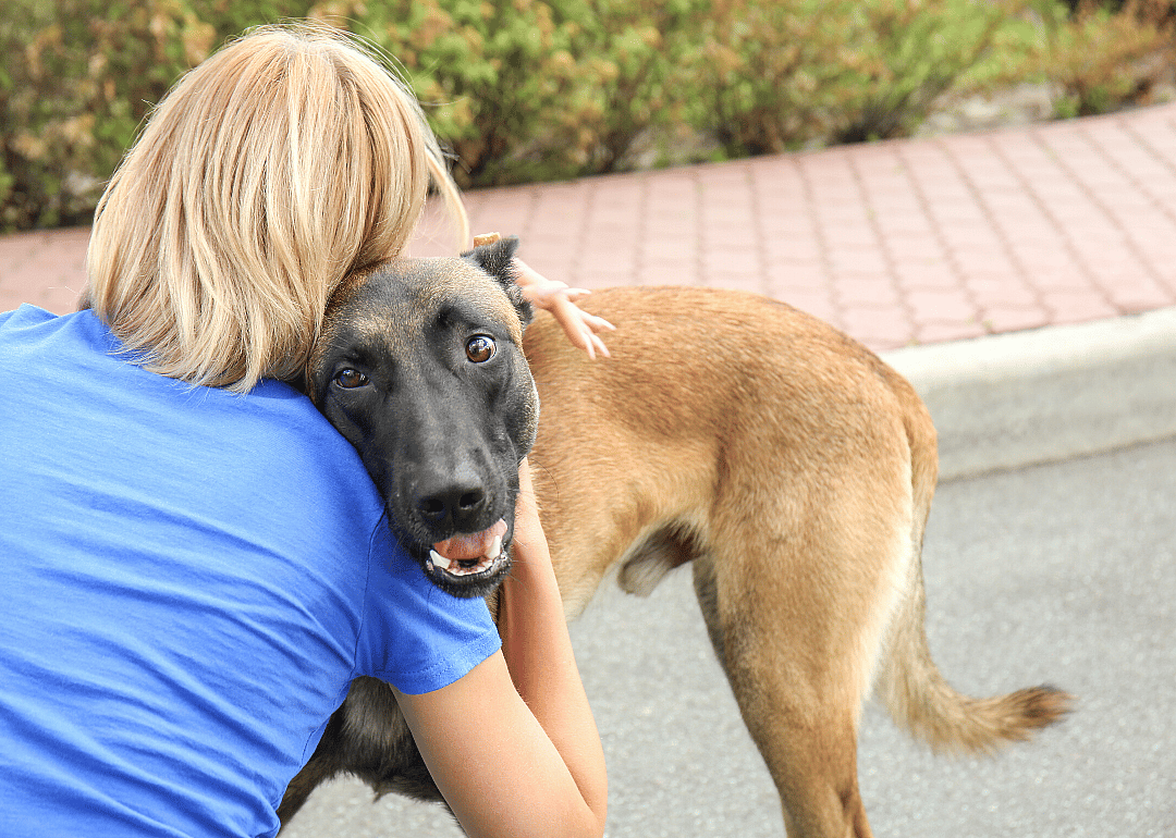 New Hampshire: New Hampshire SPCA