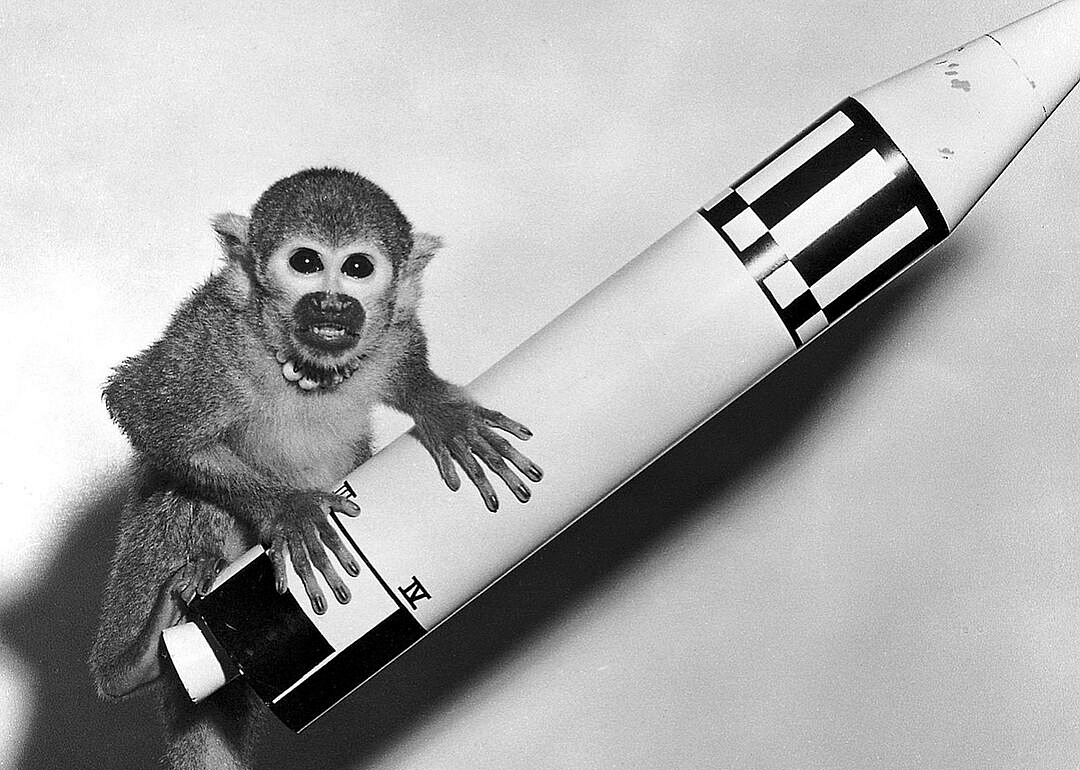 1949: First monkey in space