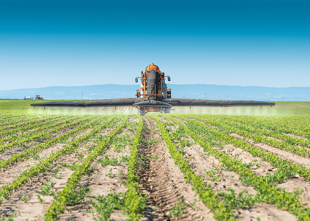 A tractor spraying a field of crops.