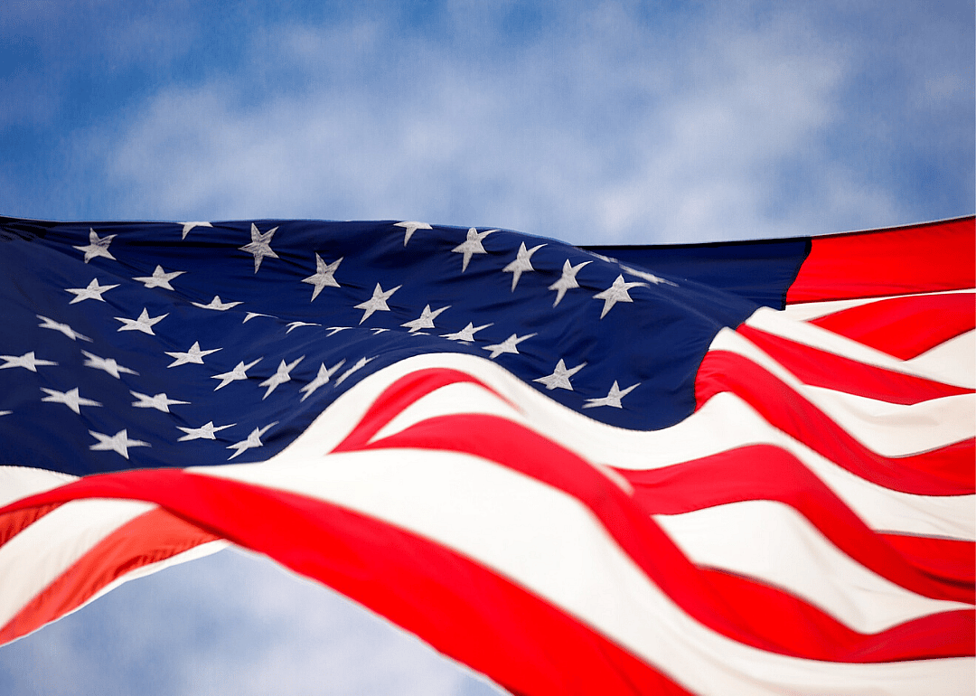 New York: Flag Day