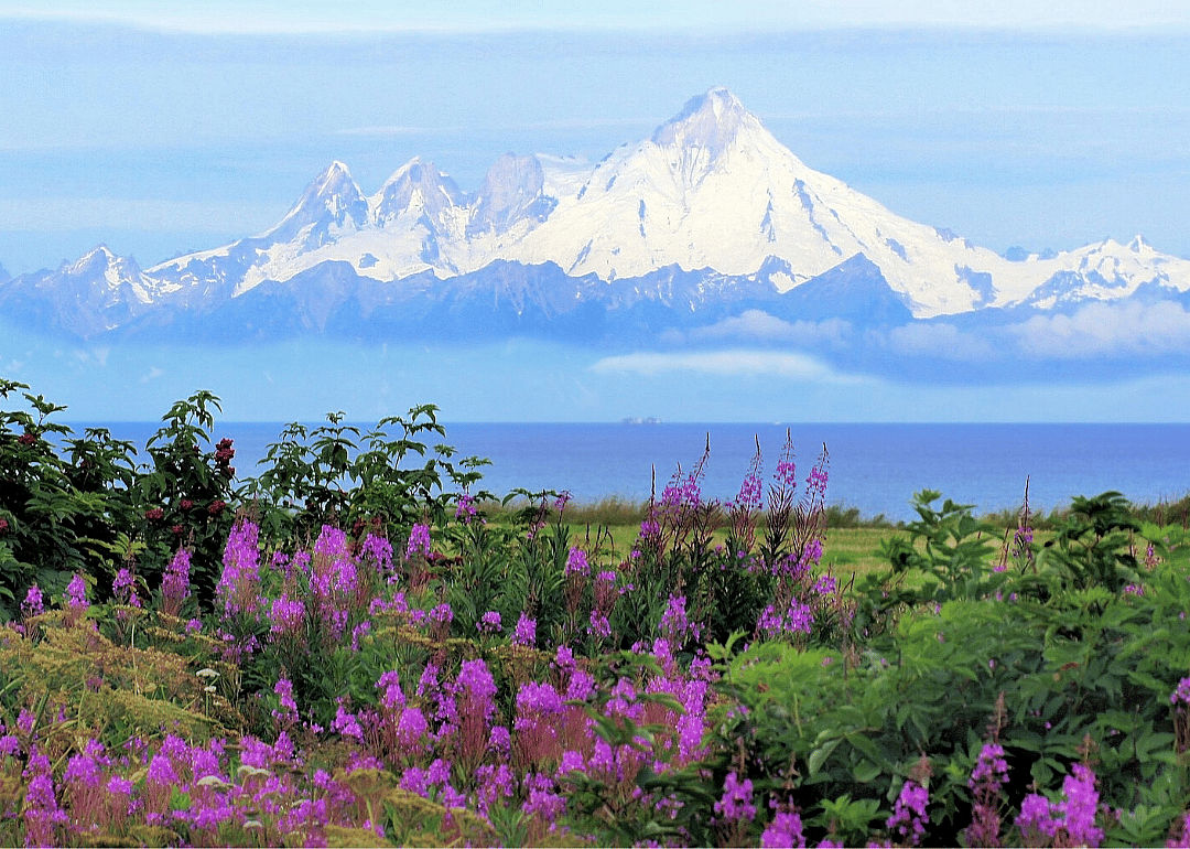Alaska