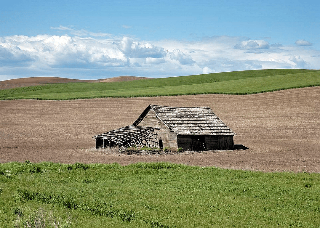 Clue: Idaho