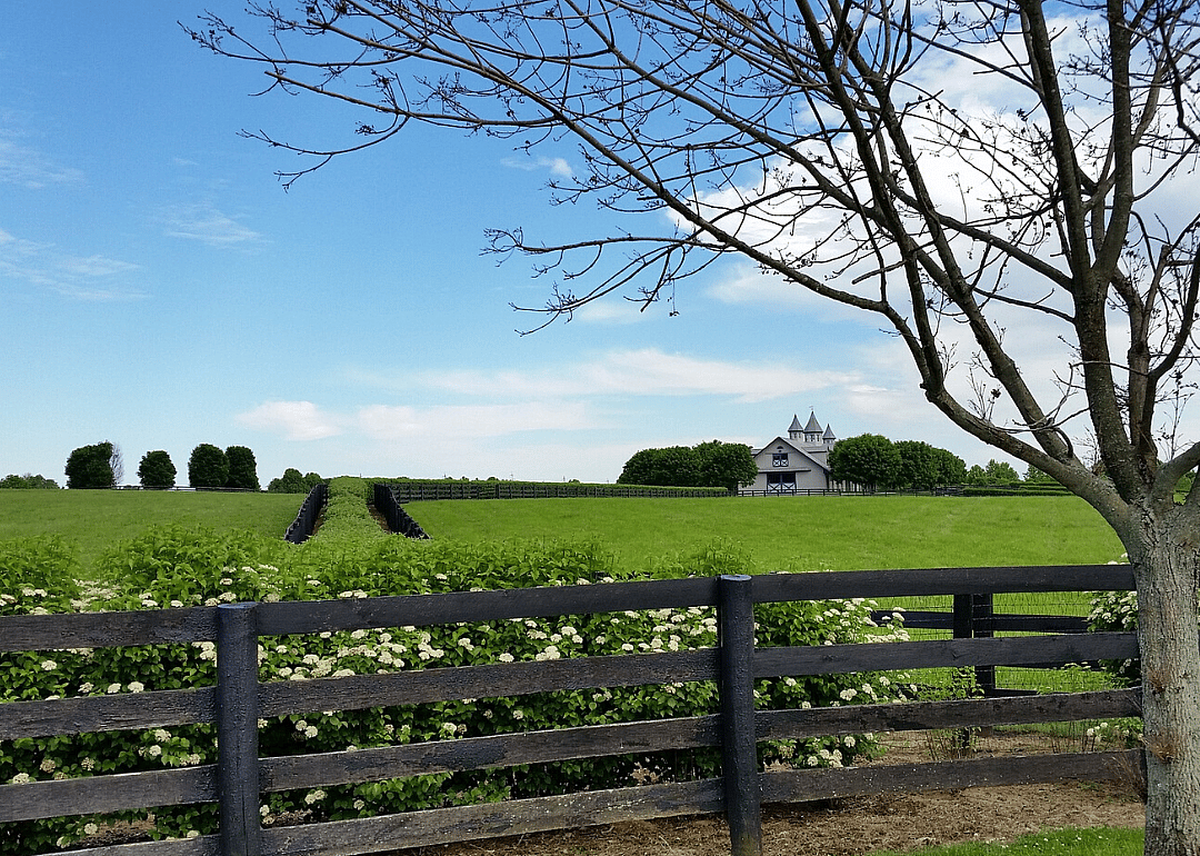 Clue: Kentucky