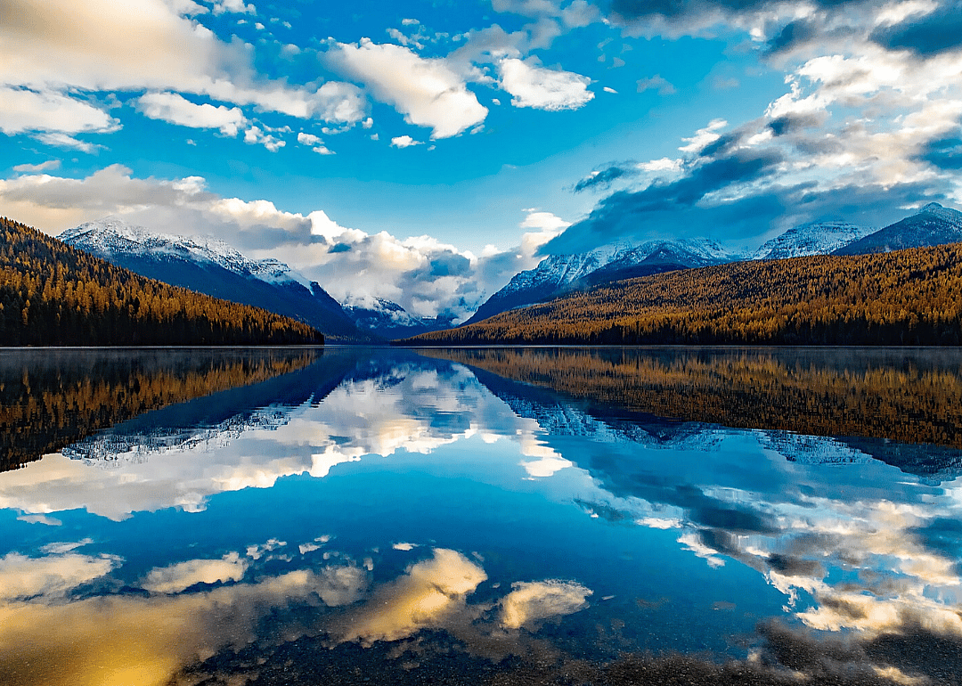 Clue: Montana