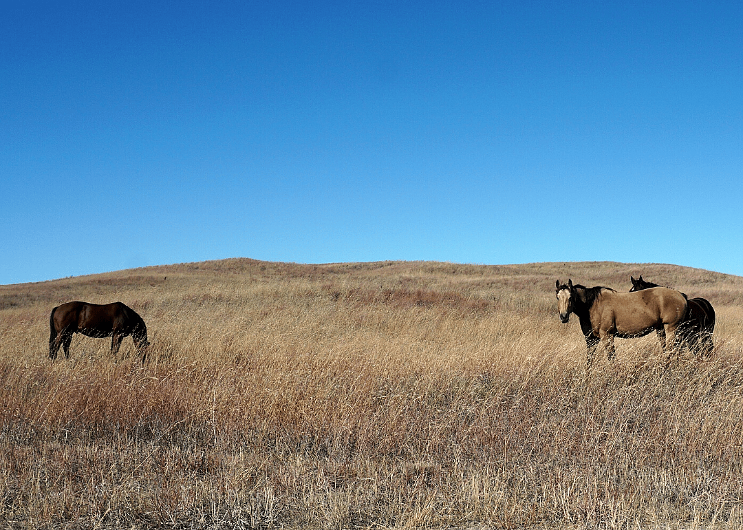 Clue: Nebraska