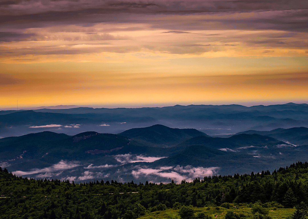 Clue: North Carolina