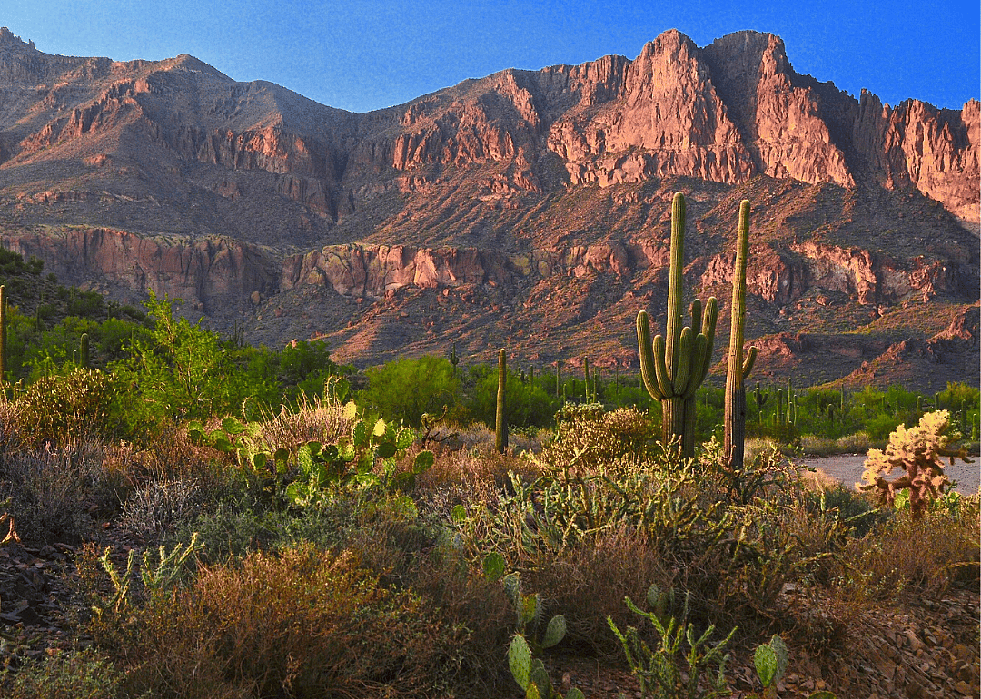 Clue: Arizona