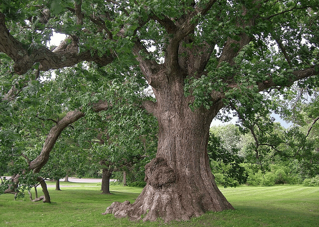 Answer: Connecticut