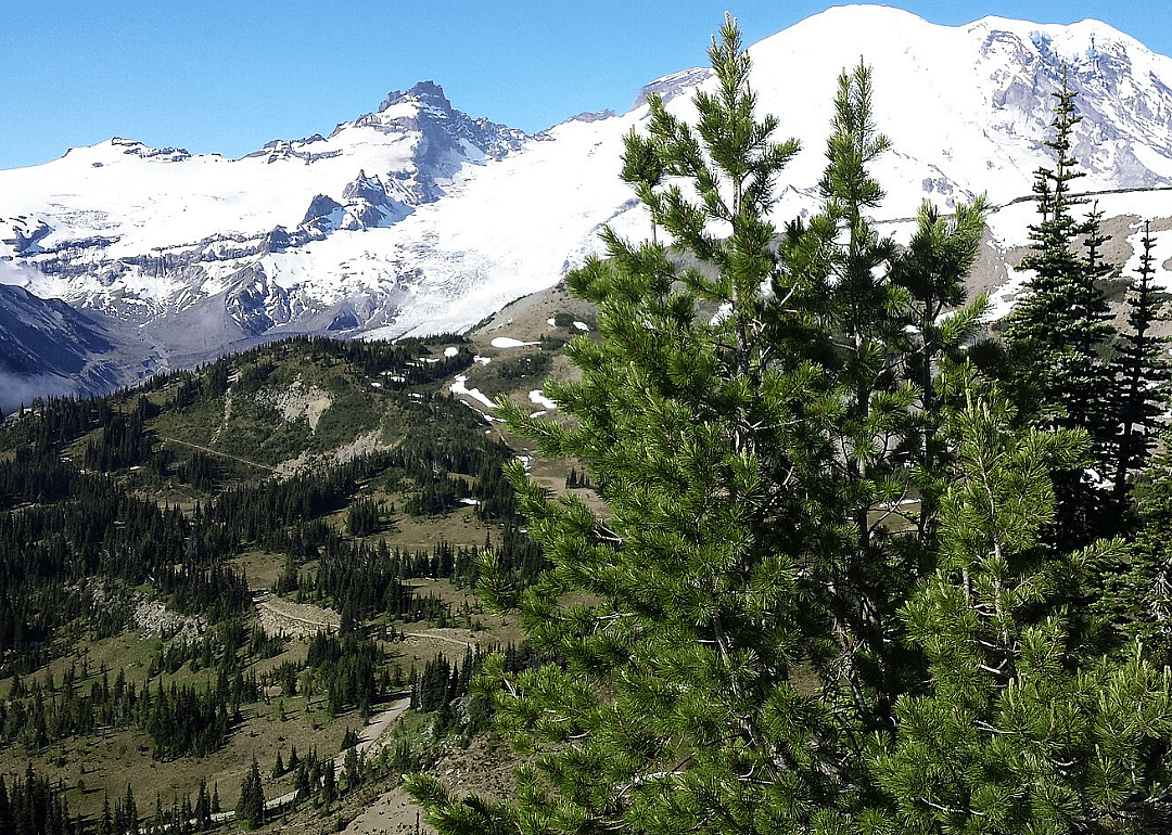 Answer: Idaho