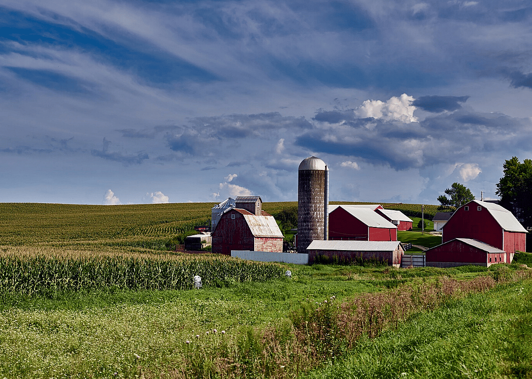 Clue: Iowa