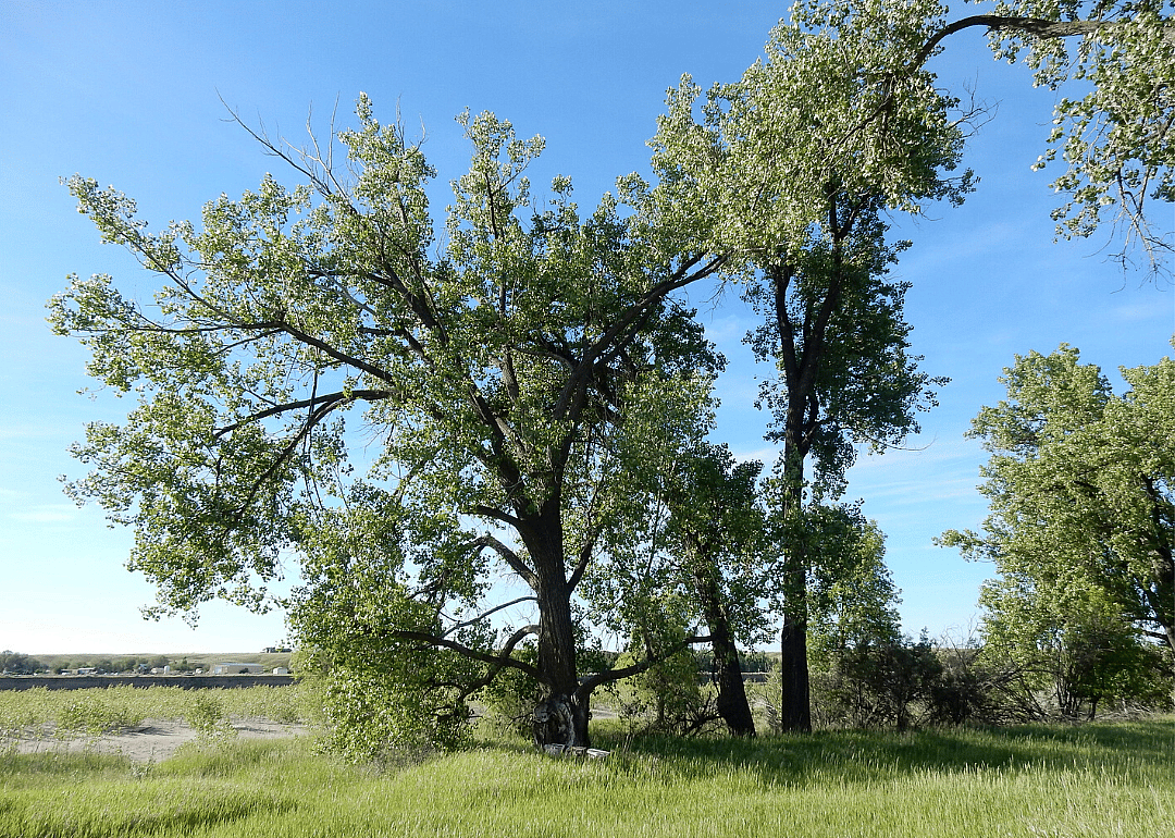 Answer: Wyoming