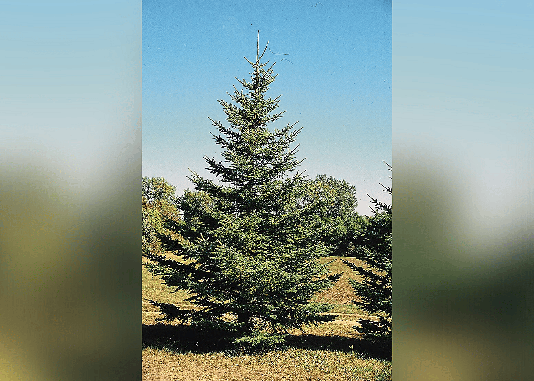 Answer: South Dakota