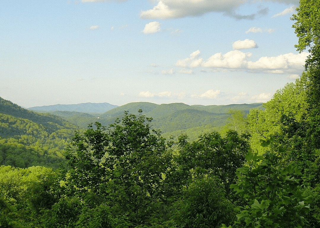 Clue: Tennessee