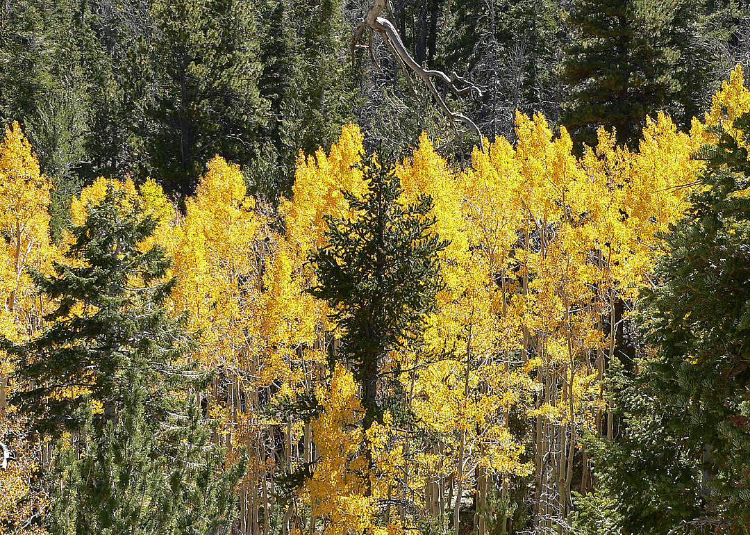 Answer: Utah