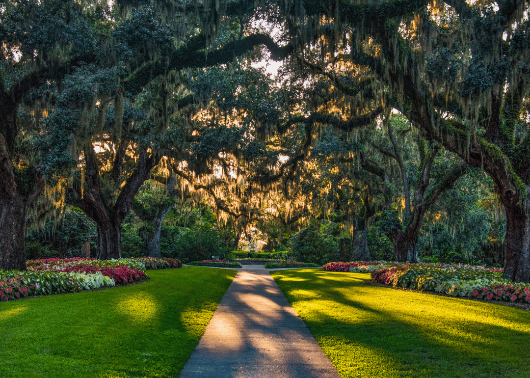 #40. South Carolina (tie)