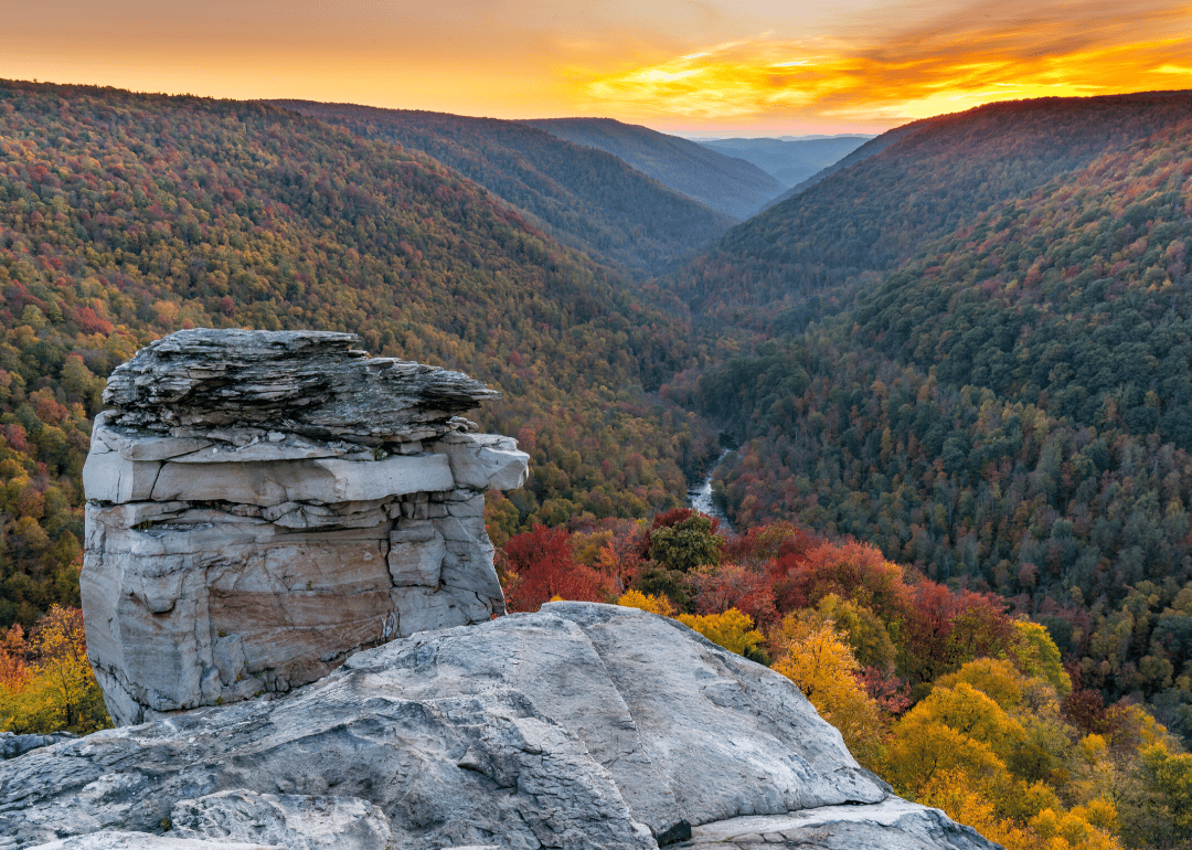 #37. West Virginia