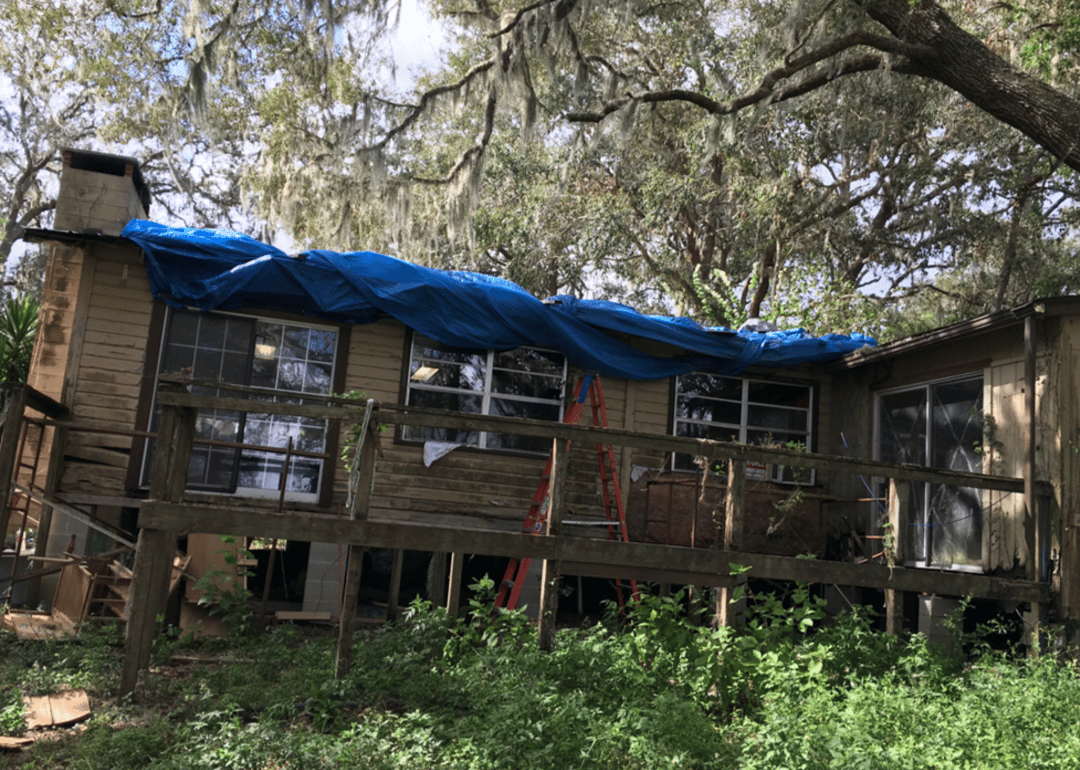#38. Florida