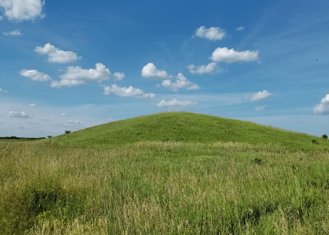 #5. Illinois