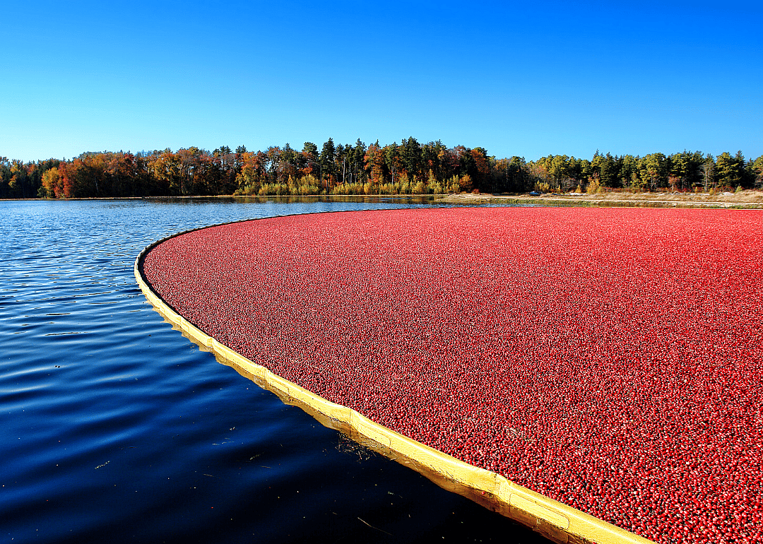 #7. Cranberries