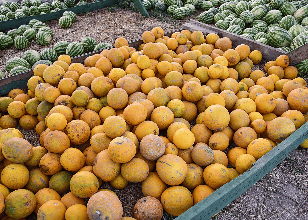 #7. Melons