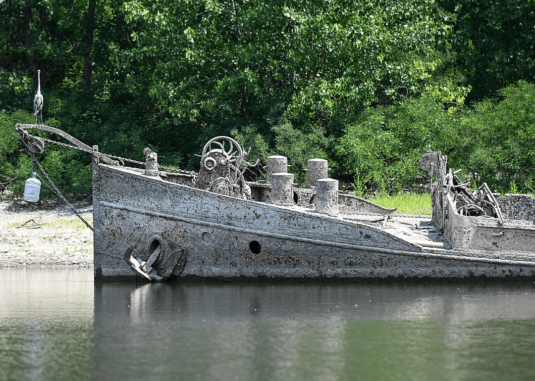 A heron stands on a large 55-meter barge that was sunk by WWII American bombing