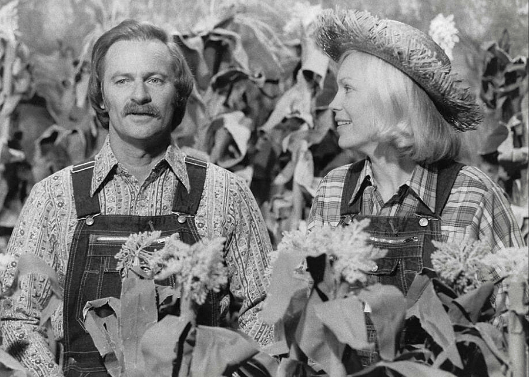 #13. Hee Haw