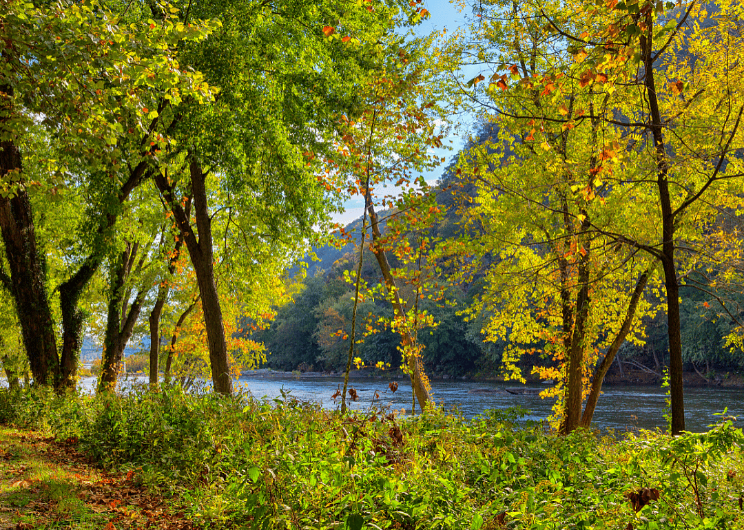 #19. Tyler County