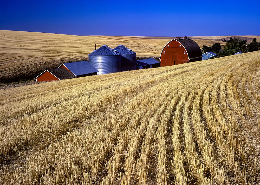 #3. Umatilla County