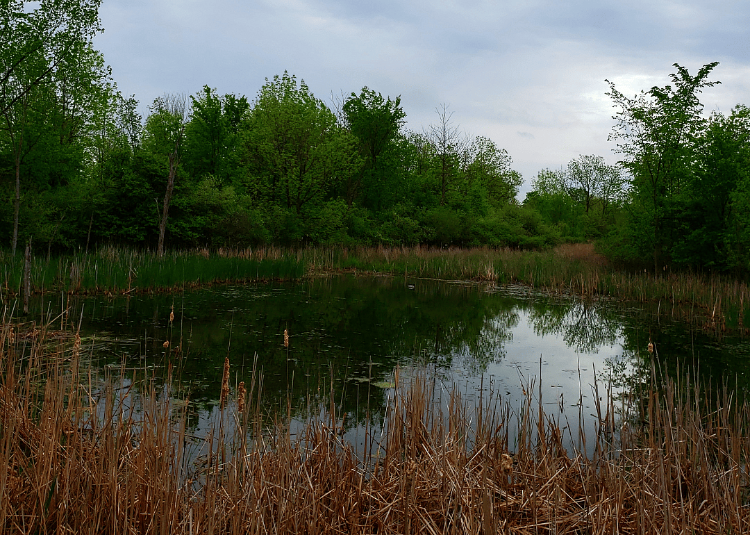 Kent County