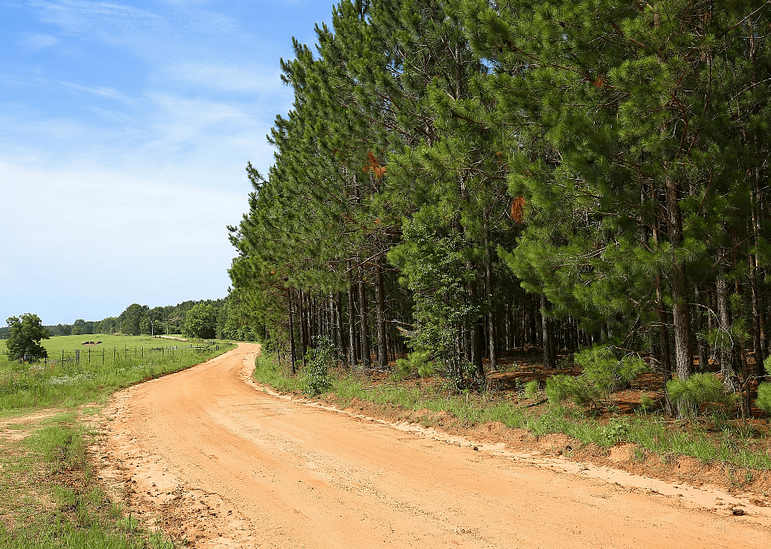 #15. Tattnall County, Georgia