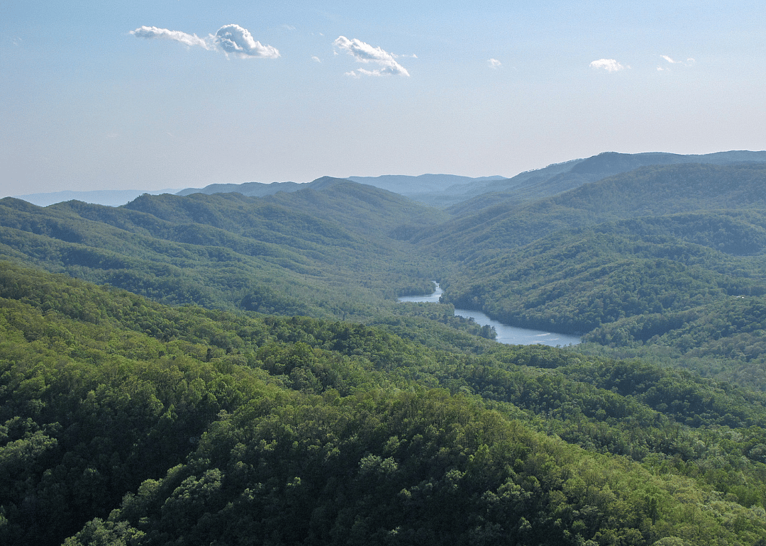 #31. Grainger County