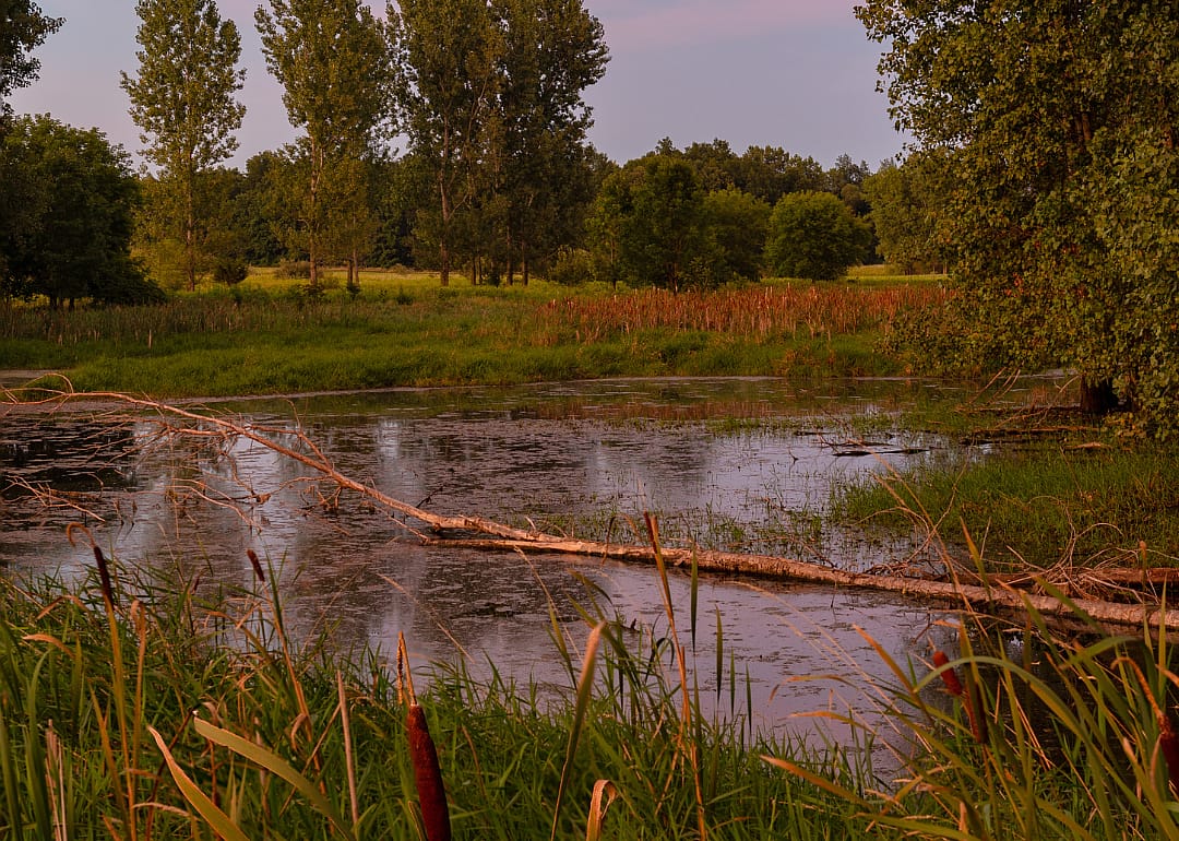 #13. Shiawassee County (tie)