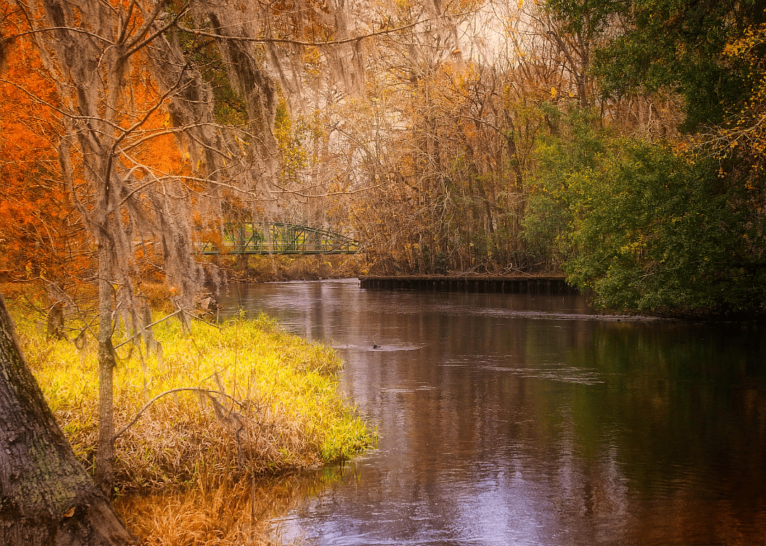 #20. Orangeburg