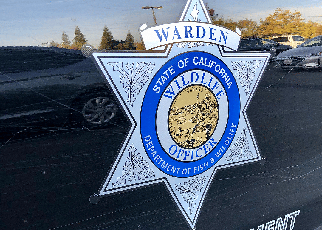 #46. Fish and game wardens