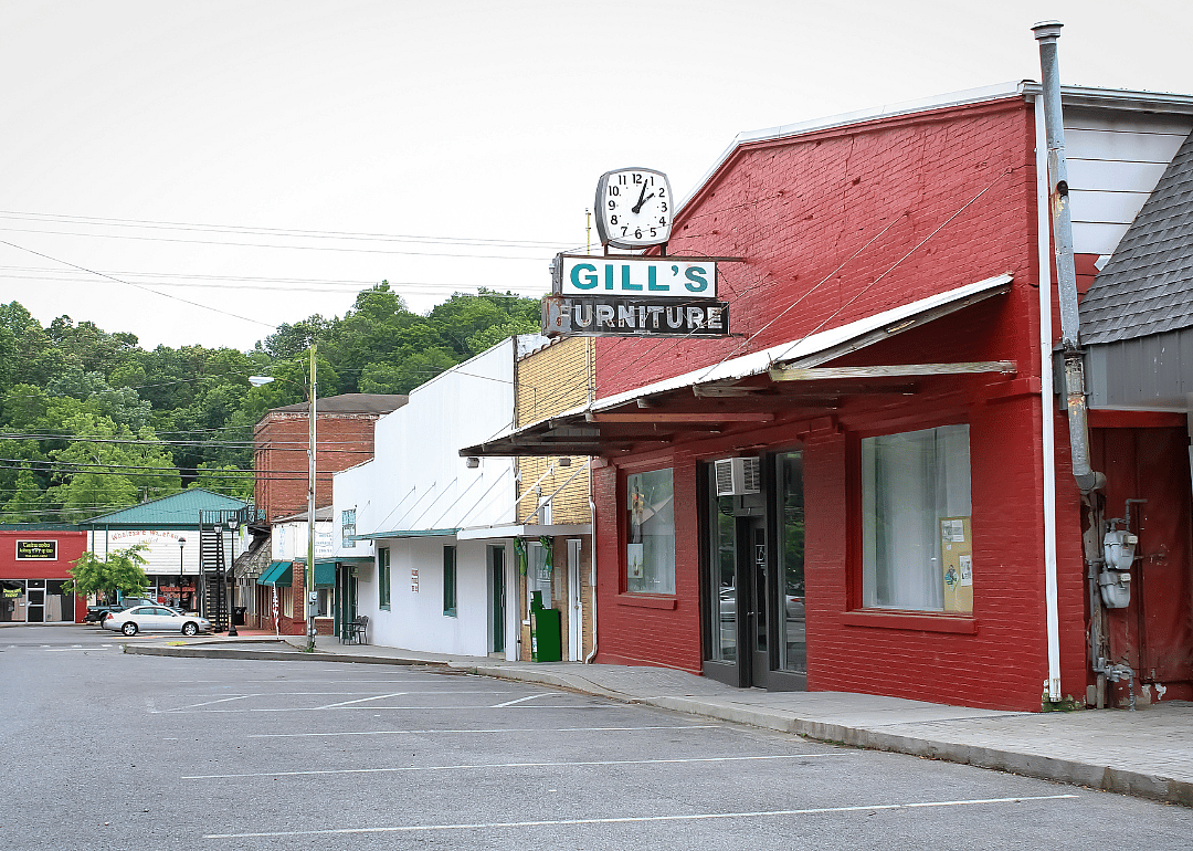 #4. Houston County