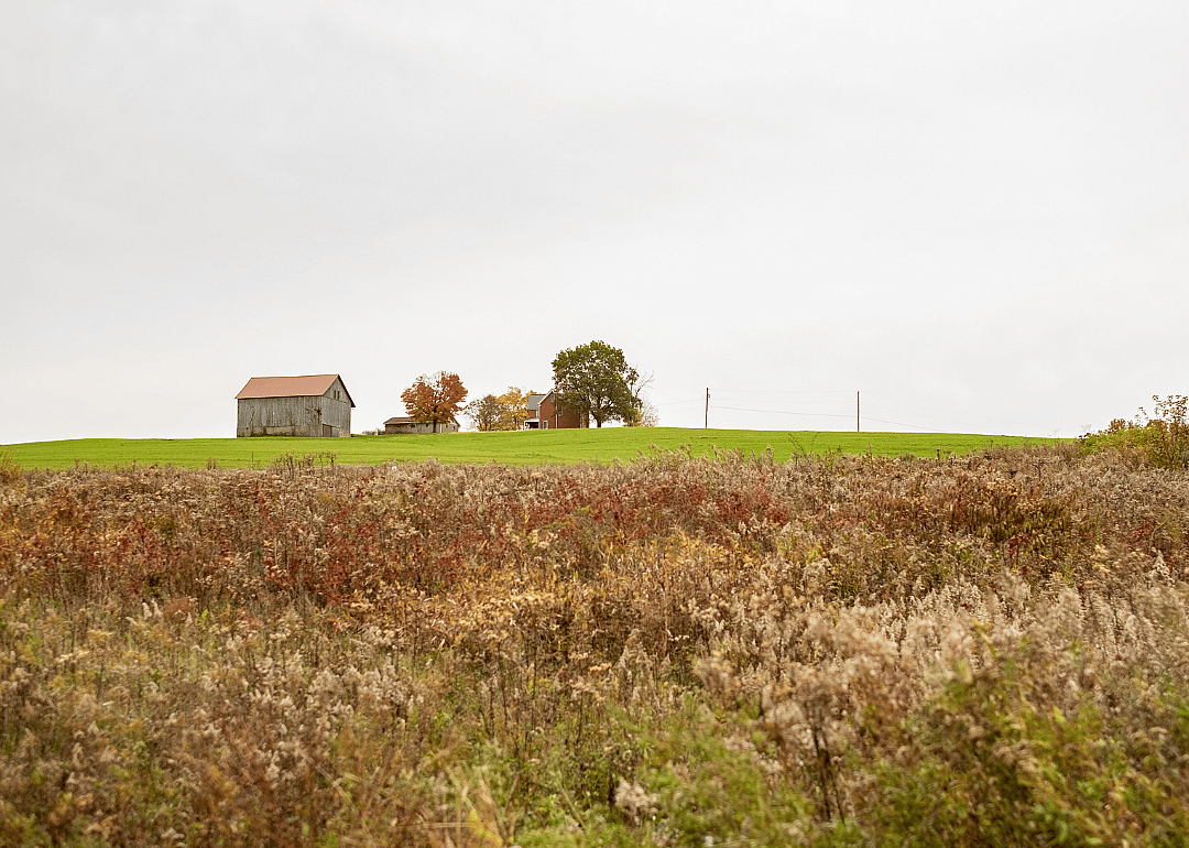 #20. Armstrong County