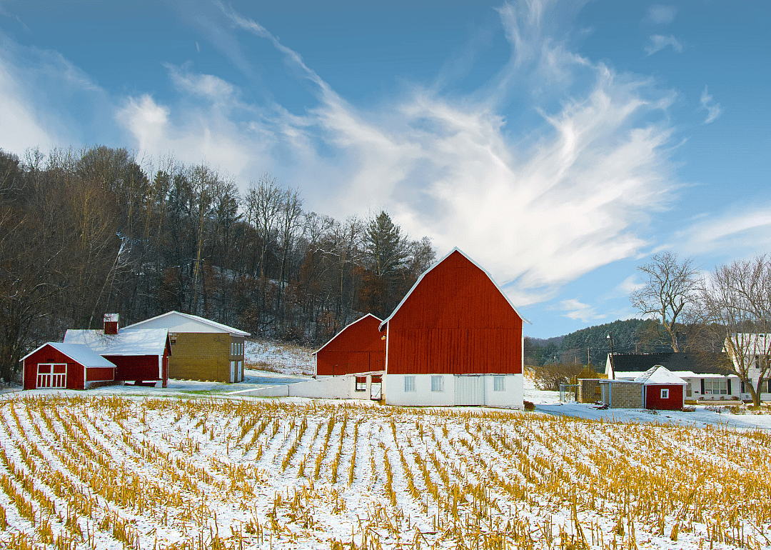 #24. Chippewa County (tie)