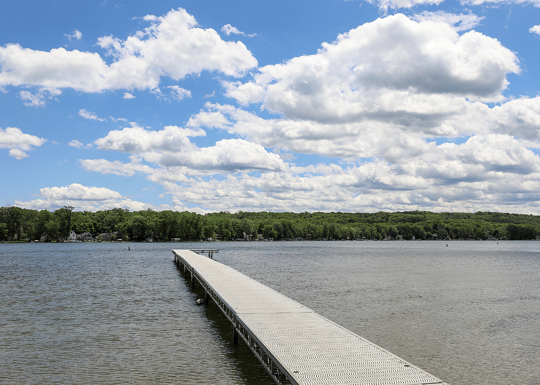 #22. Livingston County