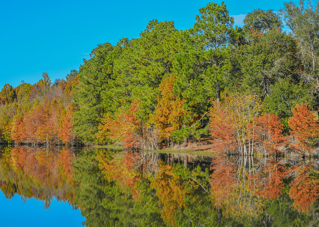 #3. Telfair County
