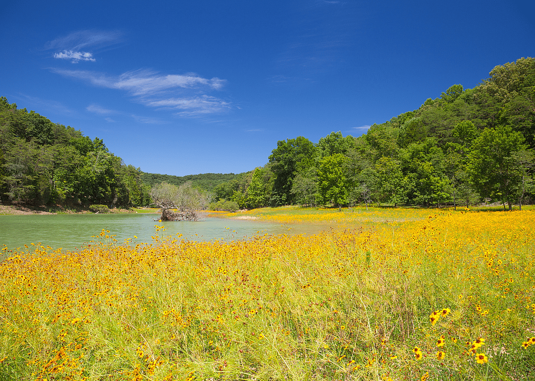 #28. Hamblen County