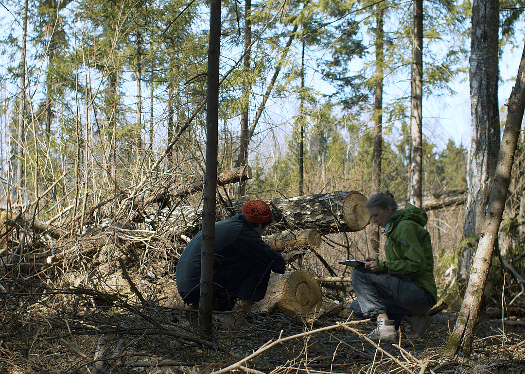 #34. Conservation scientists