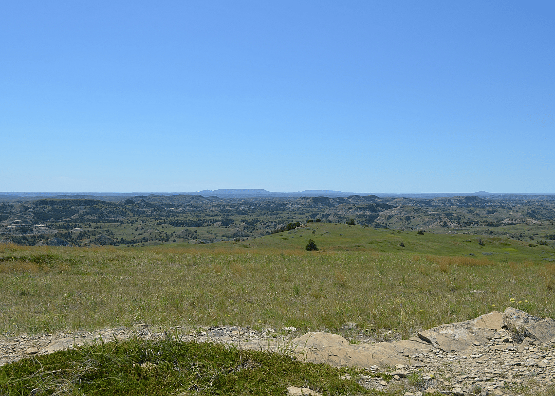 #12. Golden Valley County