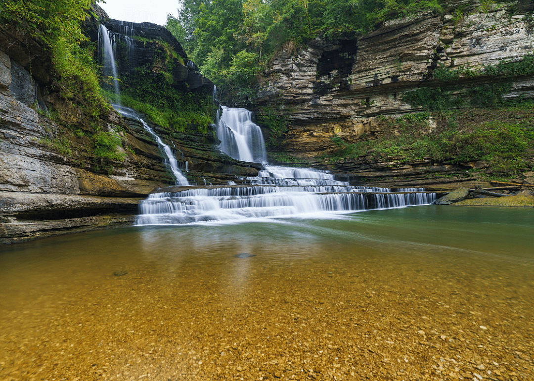#44. Jackson County