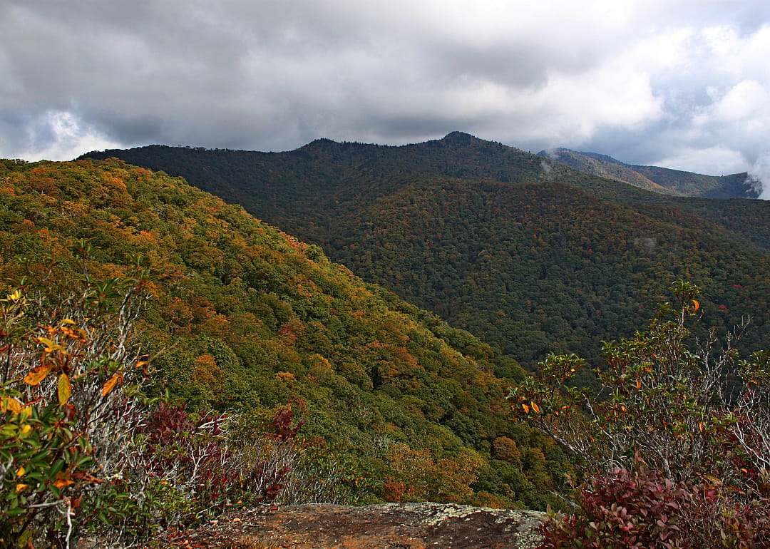 #32. Jackson County (tie)