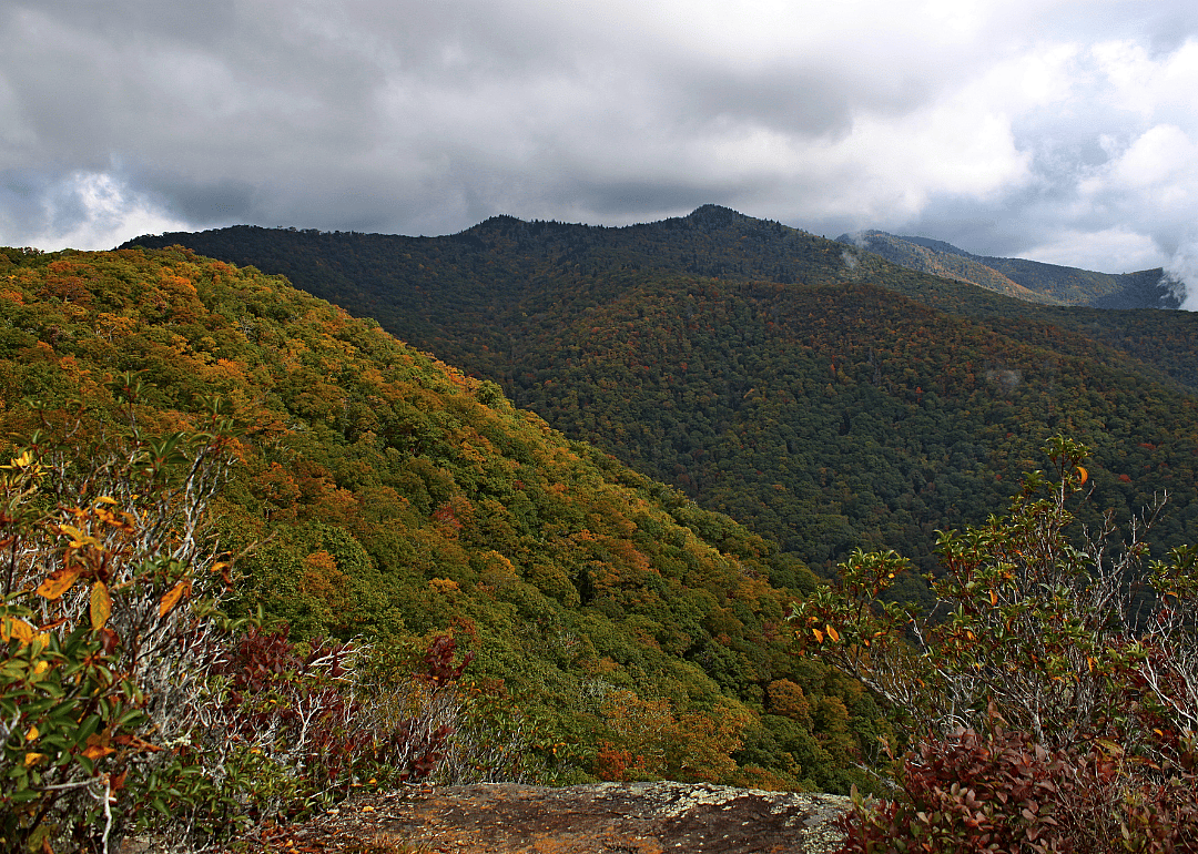 #8. Jackson County, North Carolina