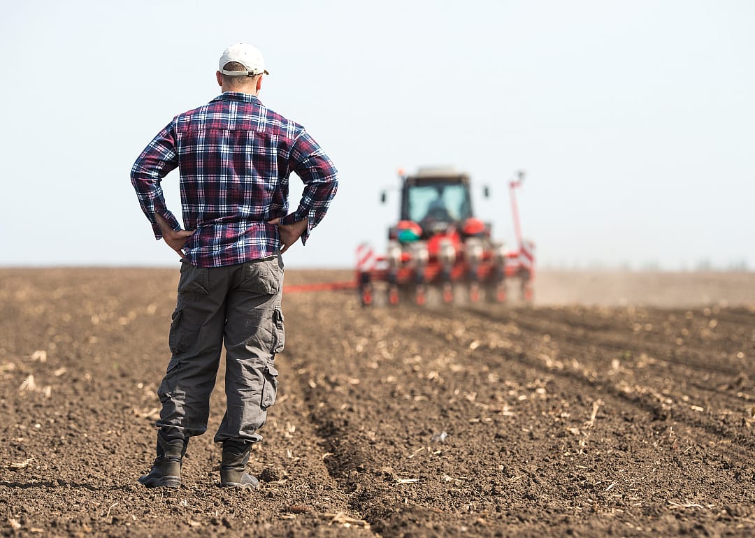 #5. Crop production & basic processing