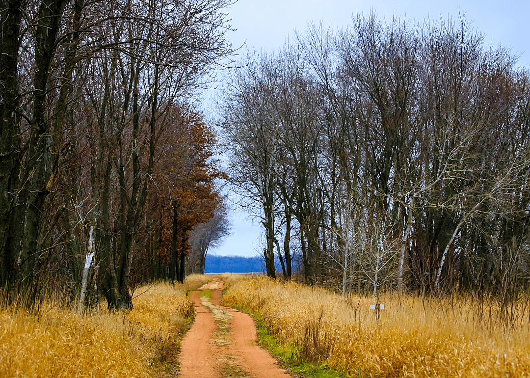 #5. Stevens Point, WI