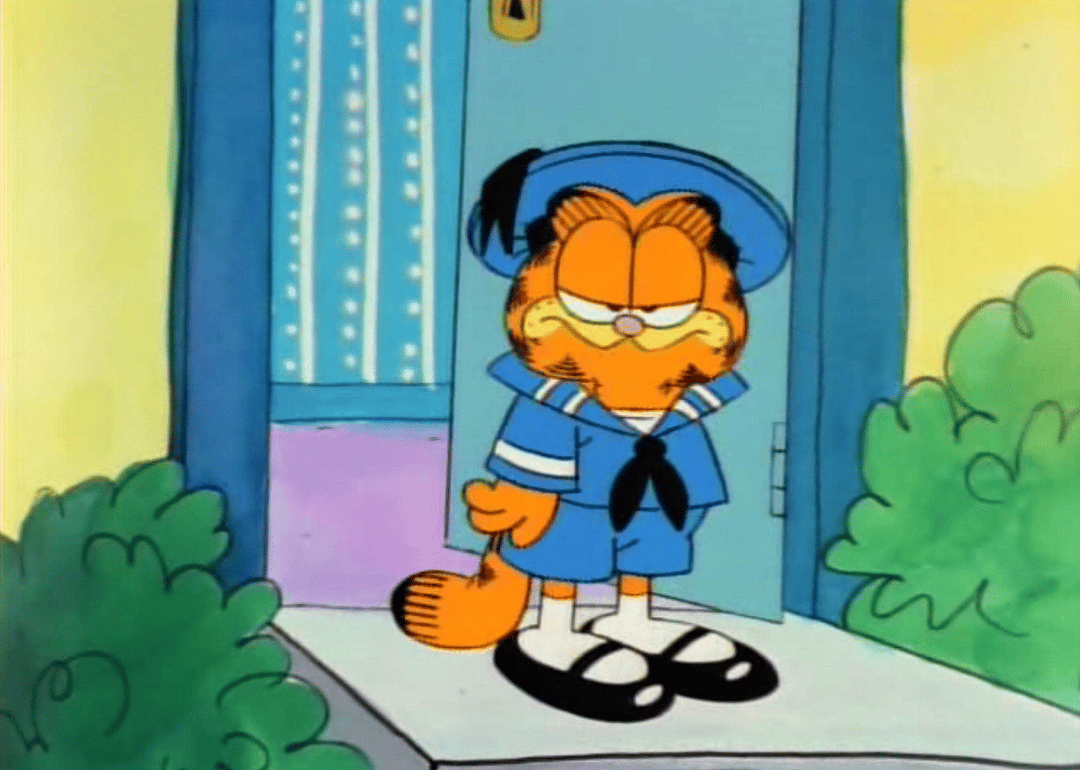 #46. Garfield and Friends