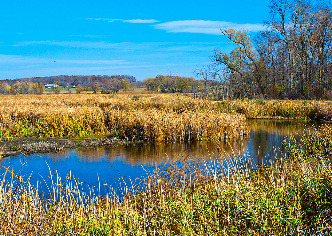 #8. Dodge County